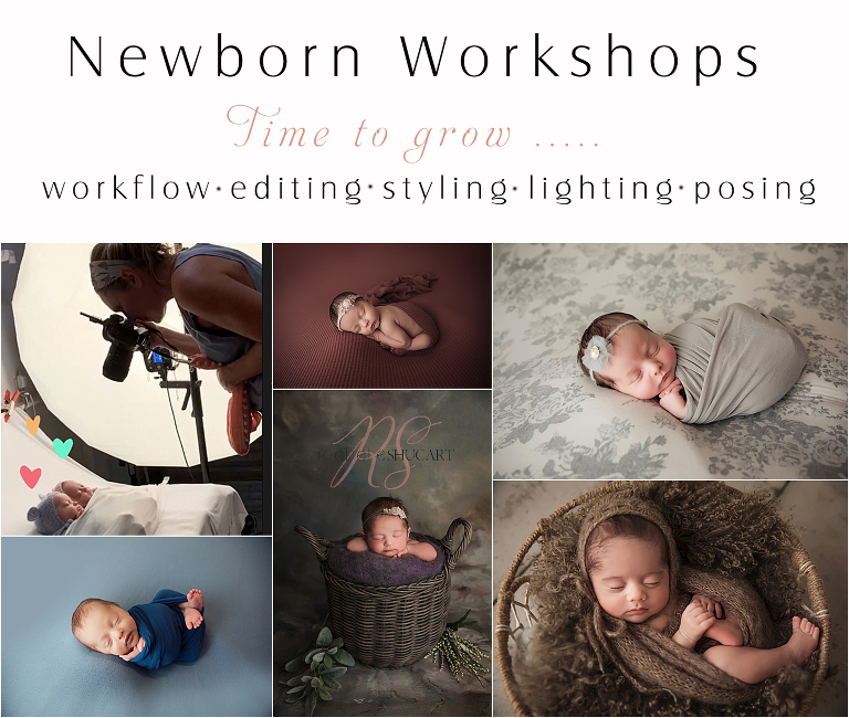 Newborn photography workshop